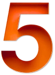 Более 5 лет