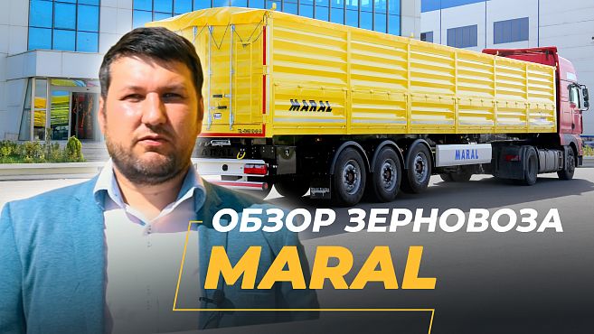 видеообзоры